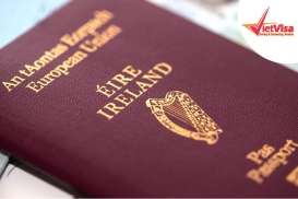 Dịch vụ xin Visa Ireland