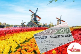 Dịch vụ xin Visa Hà Lan
