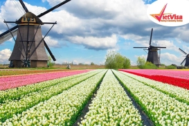 Visa du lịch Hà Lan cho bạn nào muốn đến đất nước này